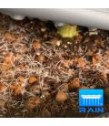 Alien Hydroponics Rain Tröpfchenbewässerung "Black Series" (30 Liter Töpfe) 4 Pflanzen
